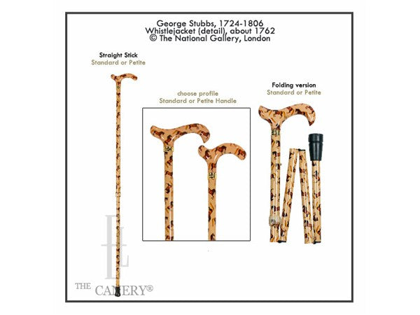Whistlejacket by George Stubbs Cane from the National Gallery Collection