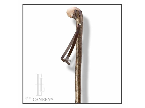 Genuine English Hazel Wood Walking Stick