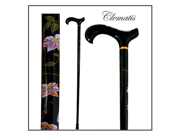 Hand Painted Floral Canes