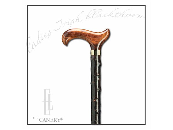 Slim Derby Handle Blackthorn wood Walking Cane