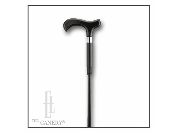 Umbrella Cane Combo