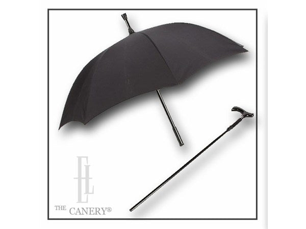 Umbrella Cane Combo