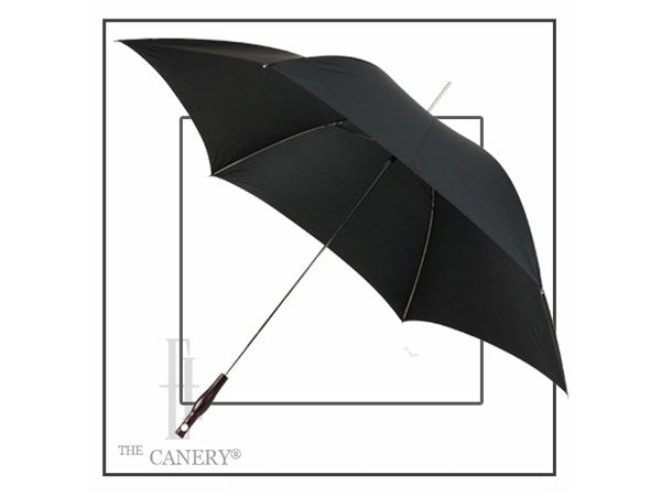 Wander the Umbrella Walking Cane